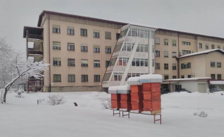 Urbani čebelnjak na vrtu DSO Ljubljana Vič Rudnik enota Bokalce v zimskem času 2017; Foto: Žiga Logonder