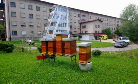 Urbani čebelnjak na vrtu DSO Ljubljana Vič Rudnik enota Bokalce; poletje 2018; Foto: Žiga Logonder