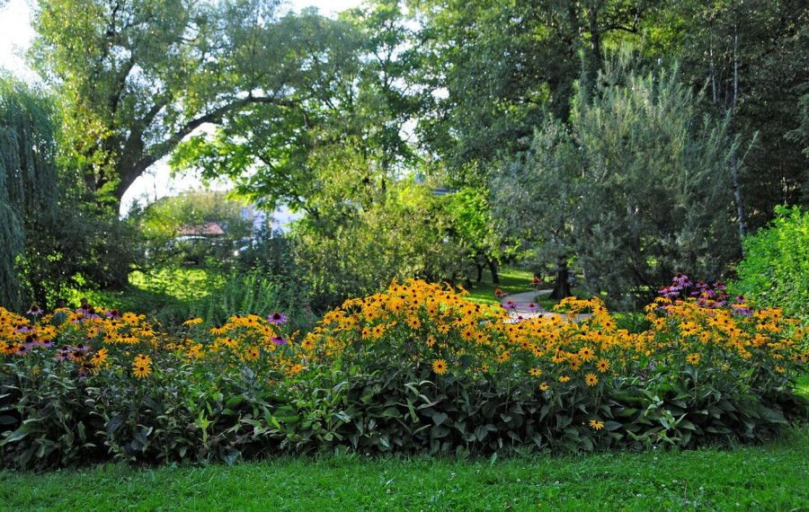 Botanicni vrt D2. Wedam