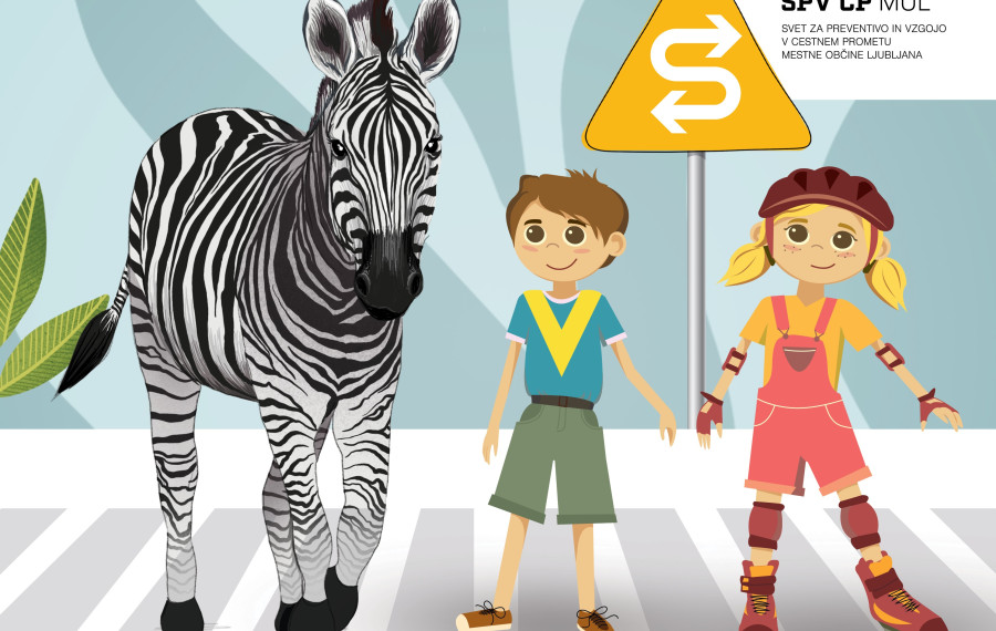zebra