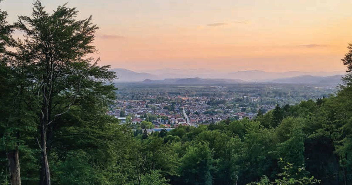 Kaj je novega na Rudniku? & Mestna občina Ljubljana