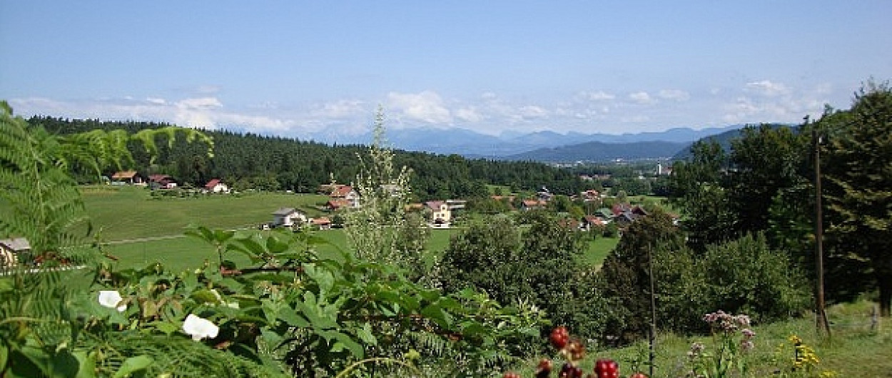 zeleno pobočje