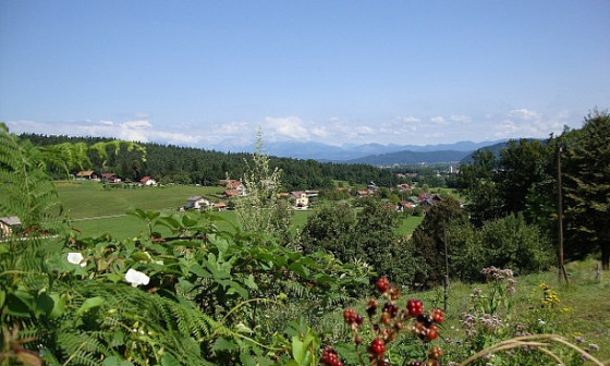zeleno pobočje