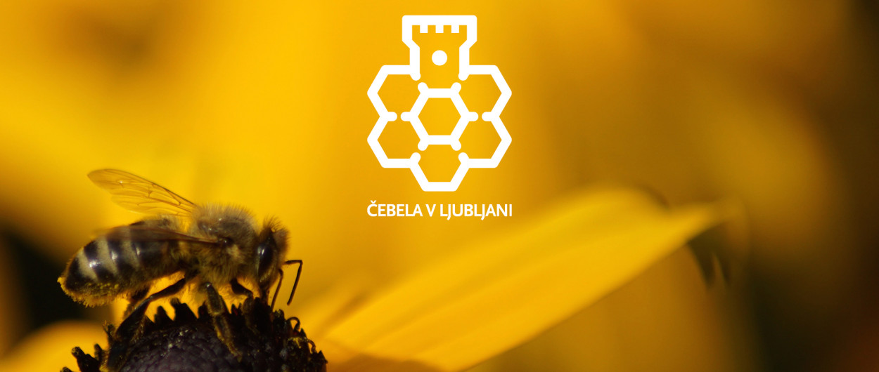 Cebela Banner