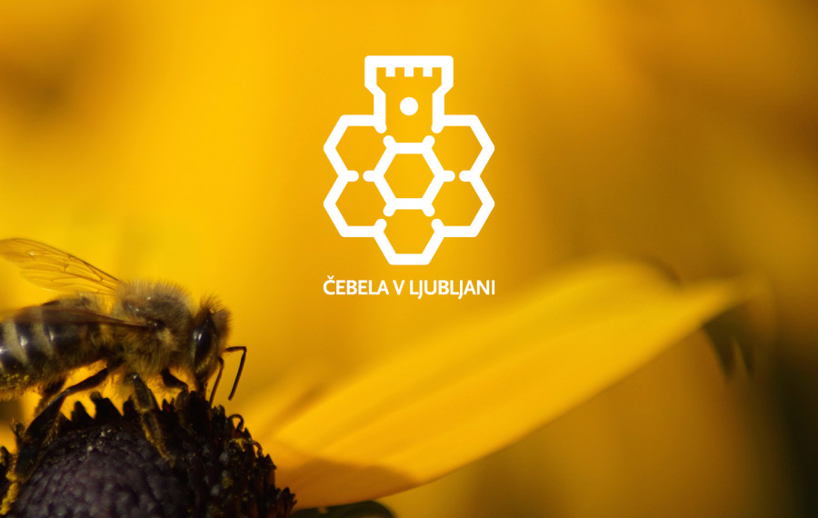 Cebela Banner