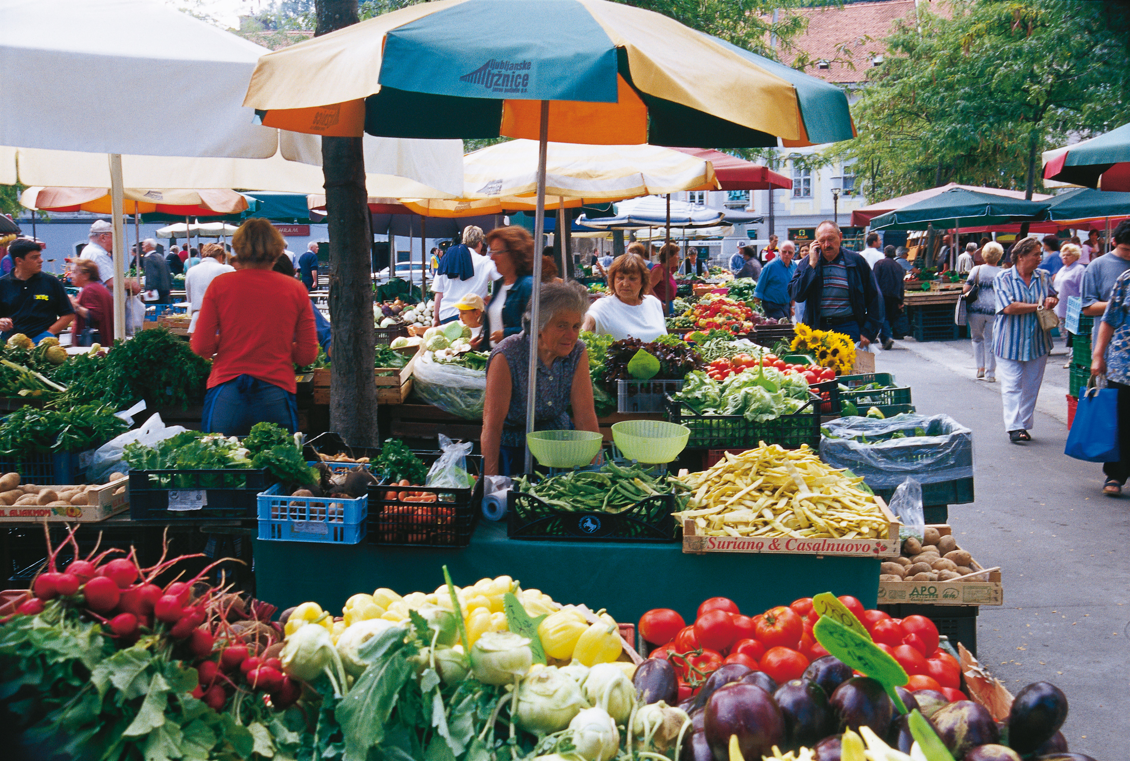 Colourful Market 2 M4.Tancic 