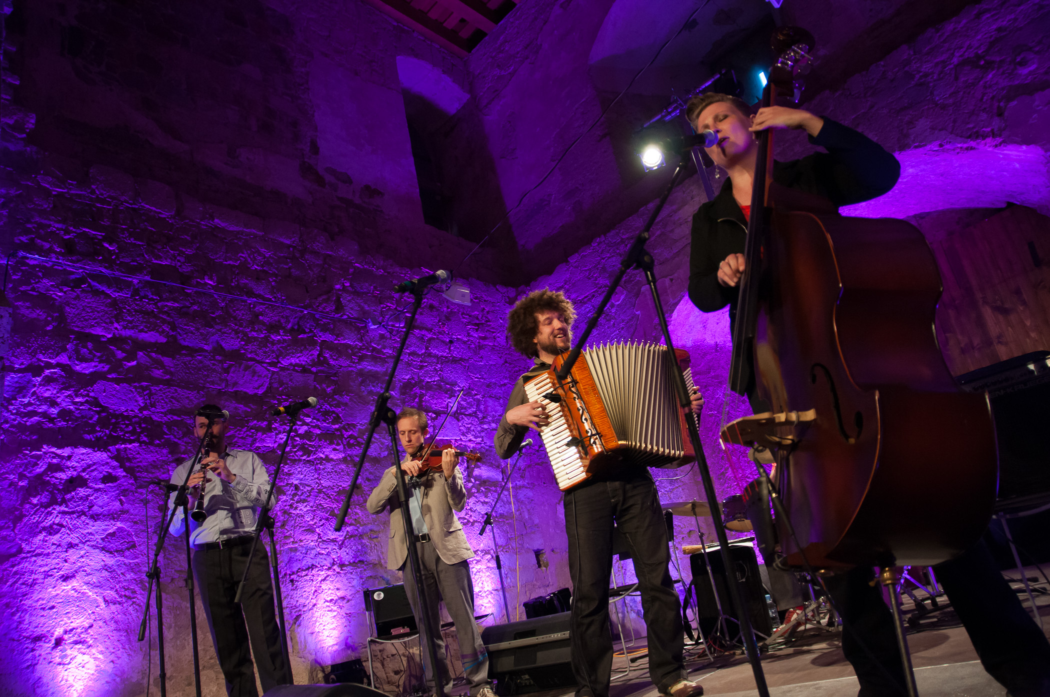 Concert photo Bojan Stepani