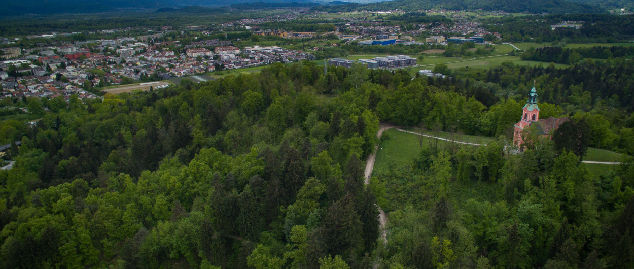 V Ljubljani imamo več mestnih gozdov, med njimi tudi Krajinski park Tivoli, Rožnik in Šišenski hrib. Foto: STA