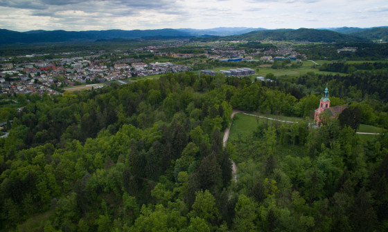 V Ljubljani imamo več mestnih gozdov, med njimi tudi Krajinski park Tivoli, Rožnik in Šišenski hrib. Foto: STA