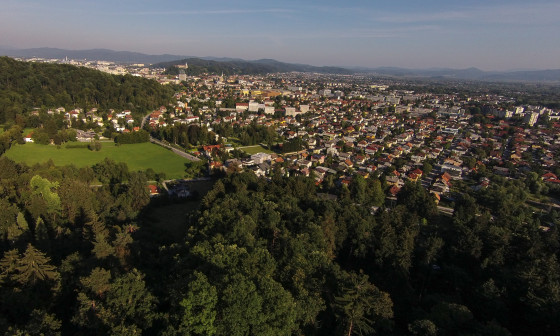 gozd nad Ljubljano 