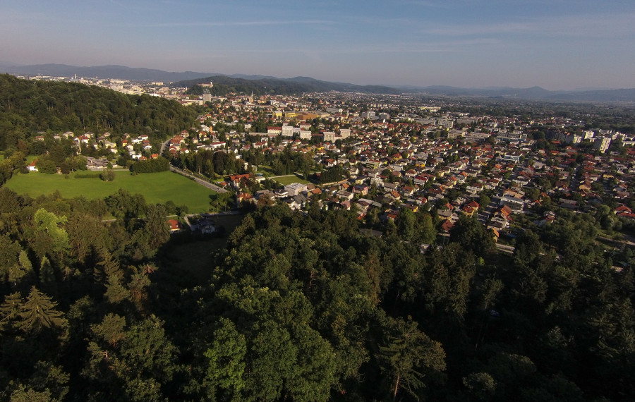 gozd nad Ljubljano 