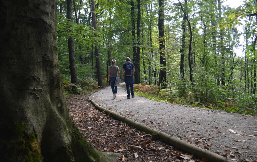 Sprehod po Golovcu, foto: Vita Kontic Bezjak
