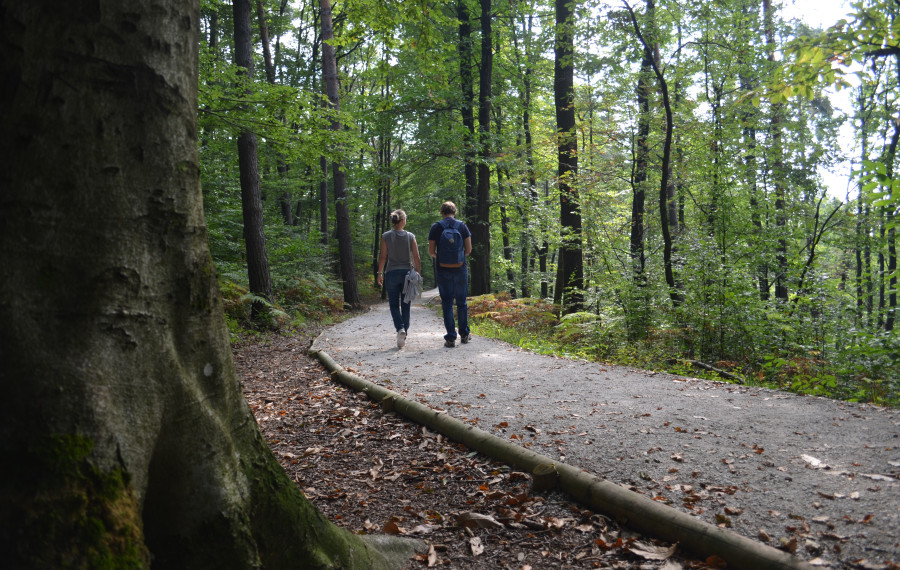 DSC 0043 Golovec walk Vita Kontic5