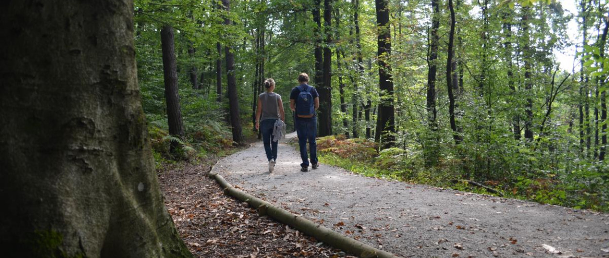 DSC 0043 Golovec walk Vita Kontic7