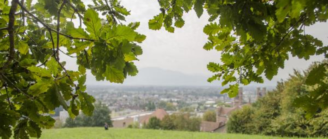 pogled z golovca v Ljubljano