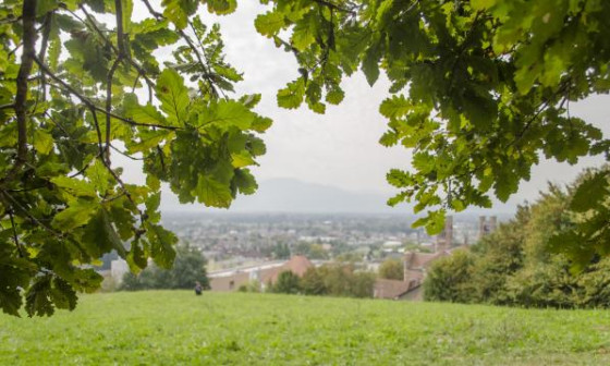 pogled z golovca v Ljubljano
