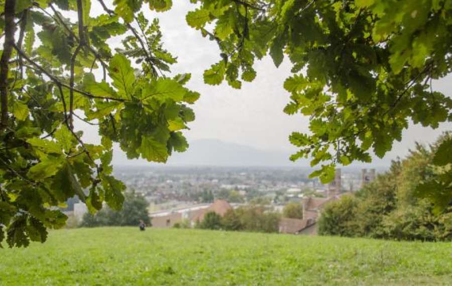 pogled z golovca v Ljubljano