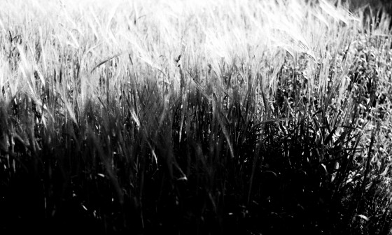 Deasni a Tim Topic Vrsenja