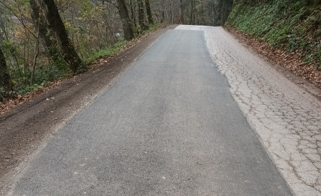 Deli ceste Podlipoglav zg. Slivnica malo pred Brezjem pri Lipoglavu 29. 11. 2024