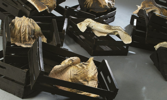 Dragica Cadez Tihozitje