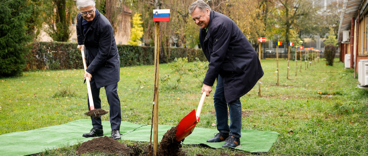 župan in Franjo Bobinac sadita drevo