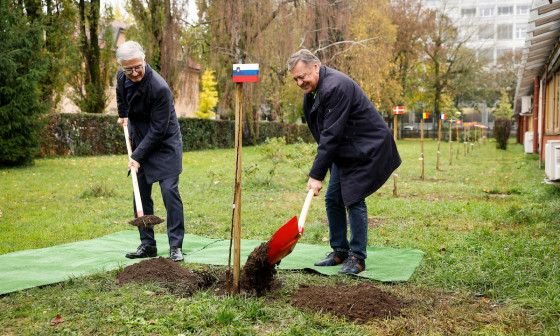 župan in Franjo Bobinac sadita drevo 