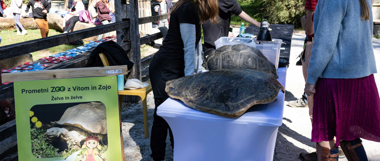 zoo ljubljana
