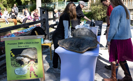zoo ljubljana