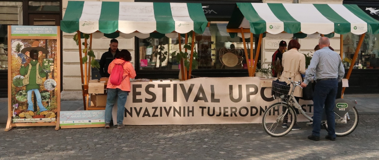 Festival. foto: arhiv MOL