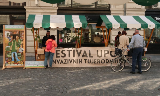 Festival. foto: arhiv MOL