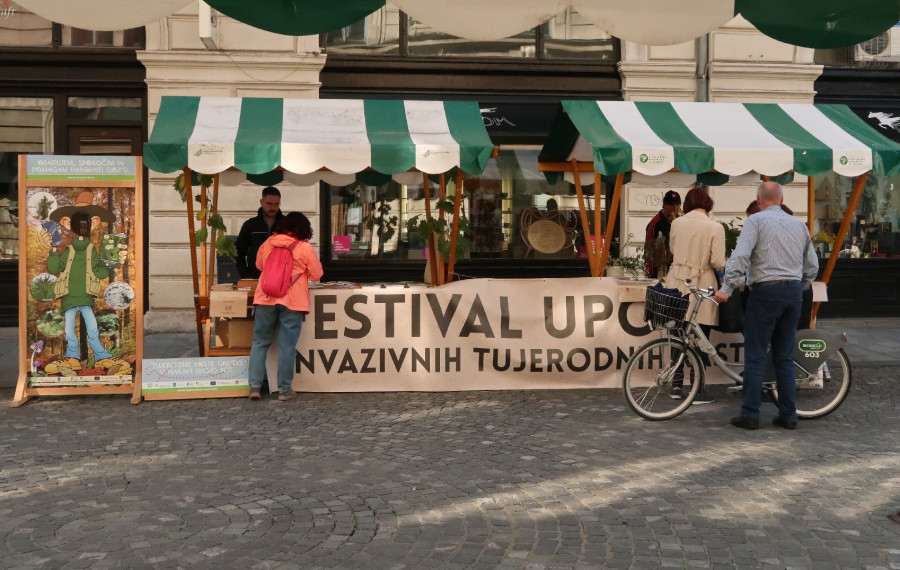 Festival. foto: arhiv MOL