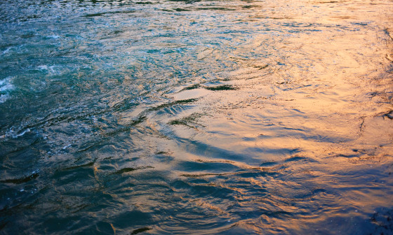 Flowalking Sava Design Promo Online v1 1440x960px Blank