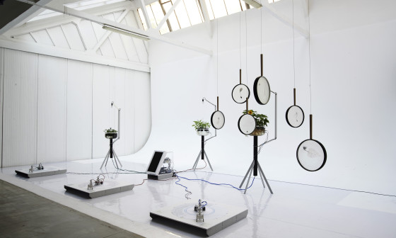 GionataGatto GeoMerce