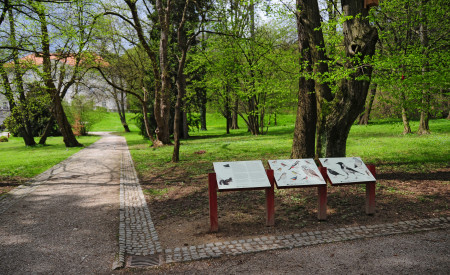 Tičistan, foto: D. Wedam.jpg