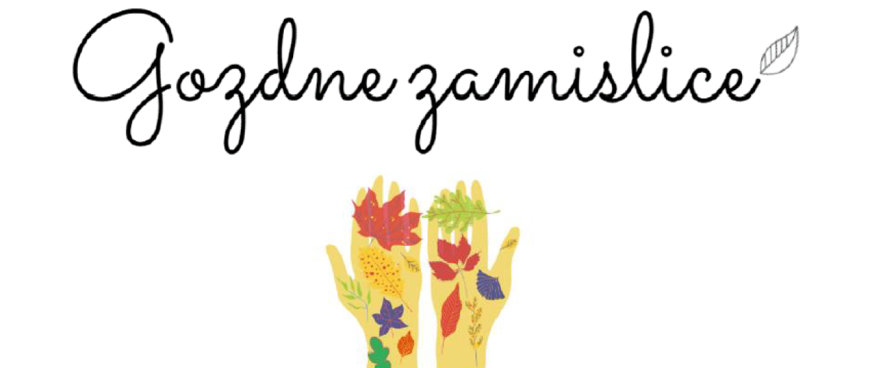 Logo Gozdne zamislice DC Male ulice, vir: DC Mala ulica