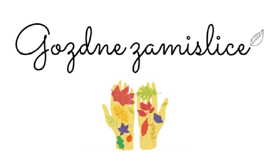 Logo Gozdne zamislice DC Male ulice, vir: DC Mala ulica