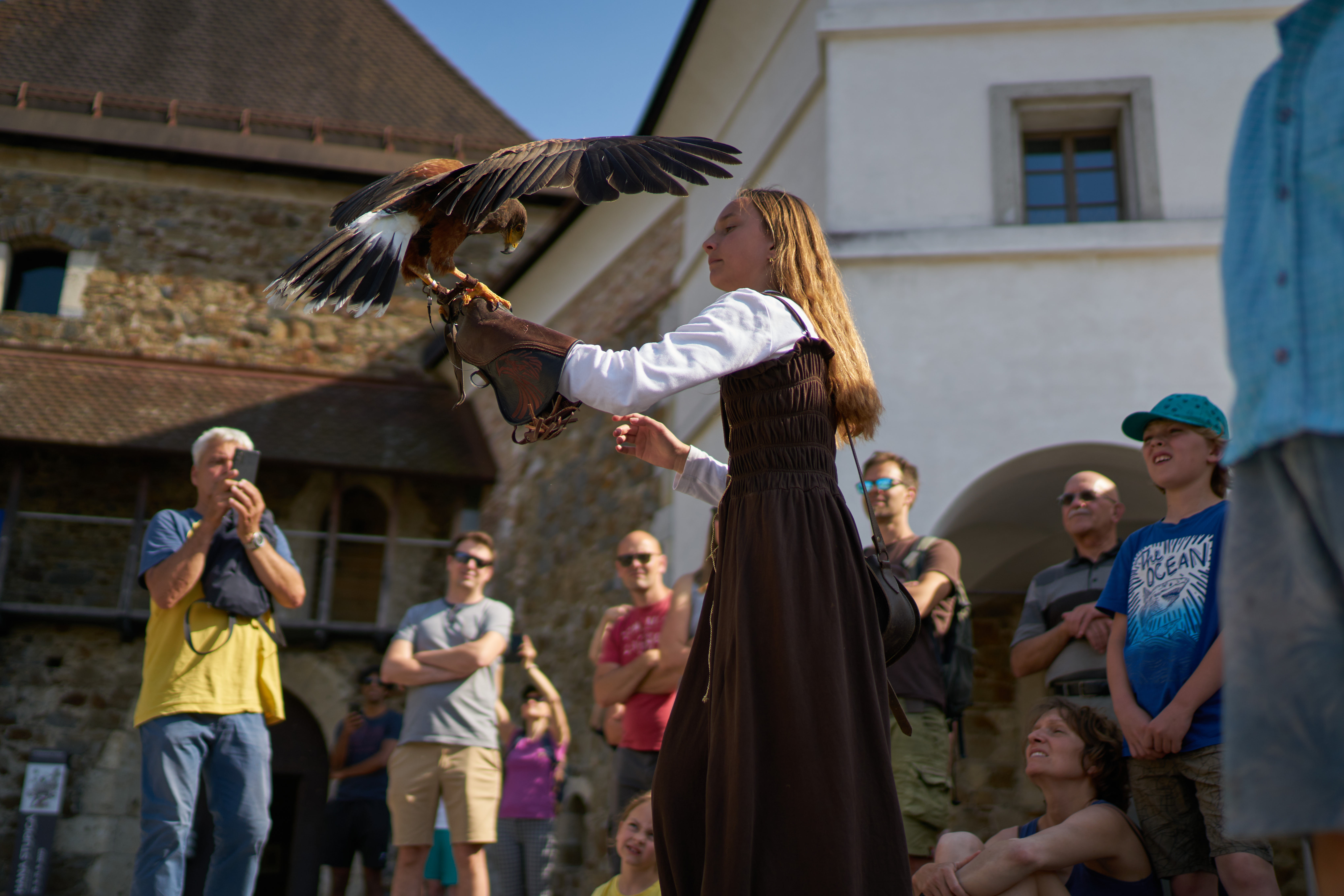 Grajski dnevi foto Blaz Znidaric 4