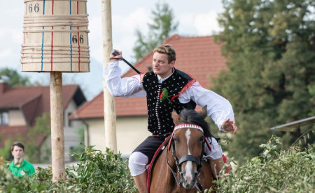 Posavsko štehvanje: Foto (konj): Bojan Stepančič - ArtinFoto