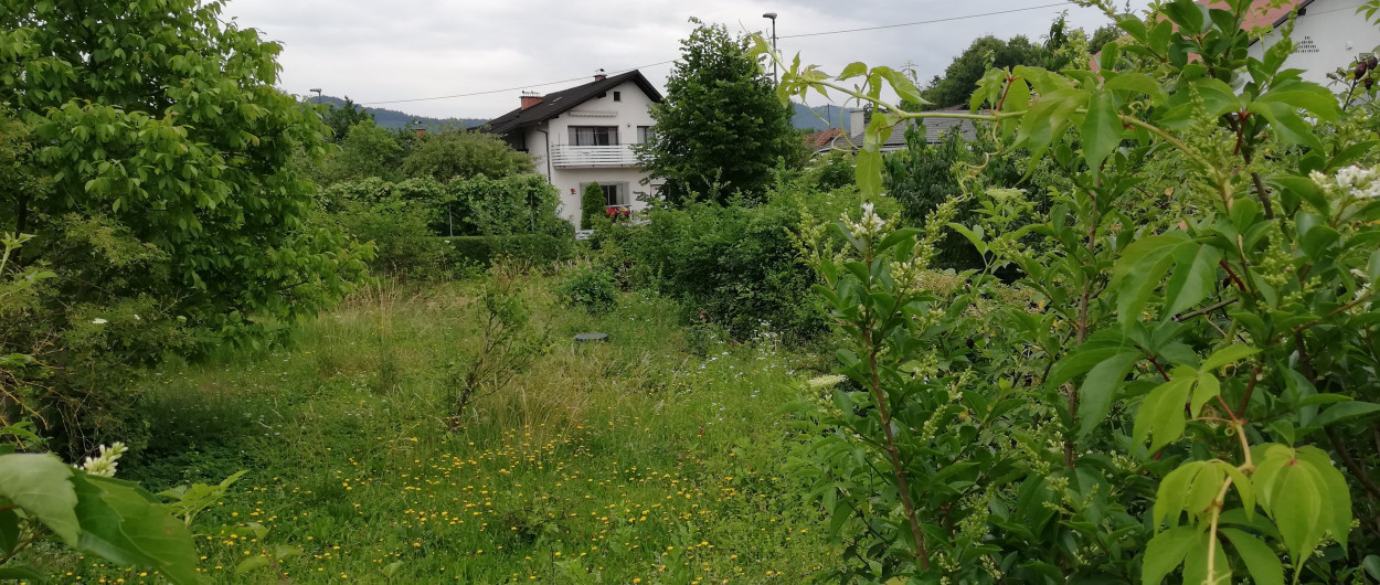 Novo igrišče urejamo na degradiranem območju. Foto: arhiv MOL