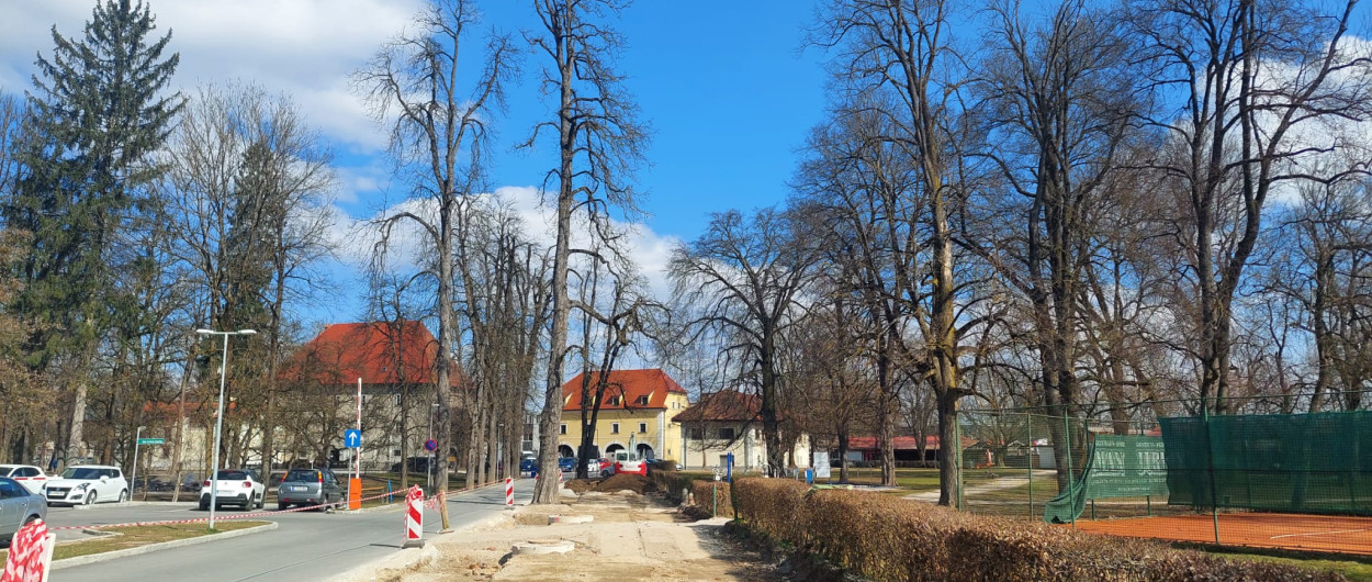 dela na kodeljevem