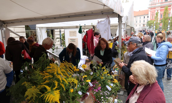 Festival uporabe invazivnih tujerodnih rastlin na Stritarjevi. Foto: arhiv MOL