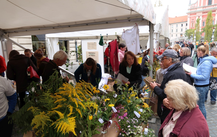 Festival uporabe invazivnih tujerodnih rastlin na Stritarjevi. Foto: arhiv MOL