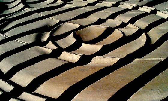 INTERFERENCE Dobrila Rozman foto
