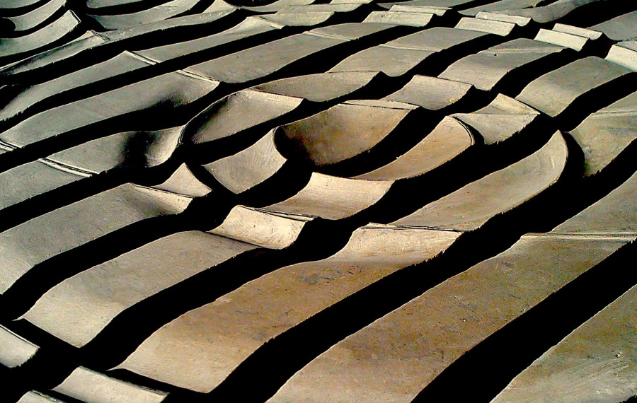 INTERFERENCE Dobrila Rozman foto