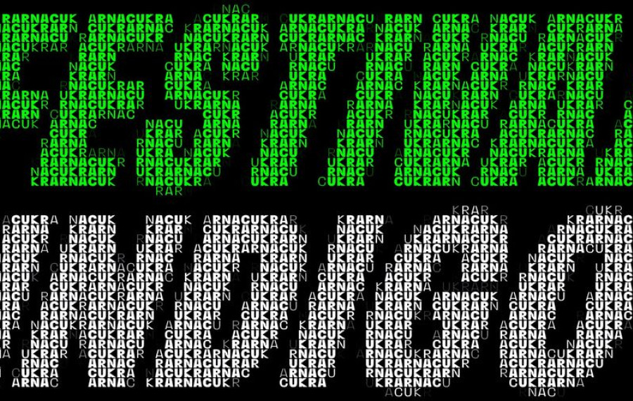 Letak festivala Indigo