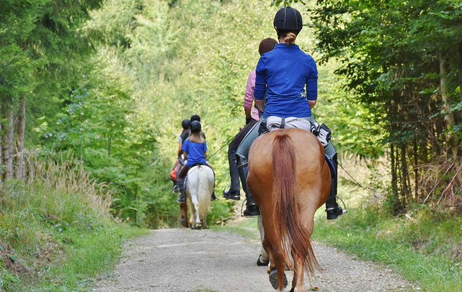 Jahanje Pixabay