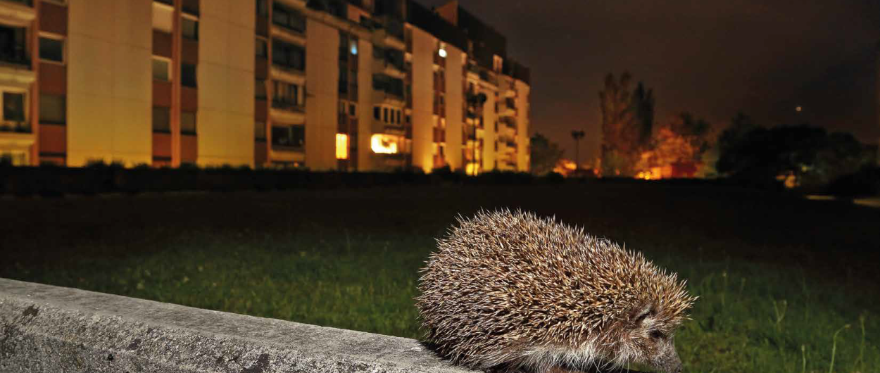 Jez nocna fotografija Davorin Tome