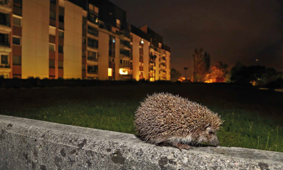 Jez nocna fotografija Davorin Tome