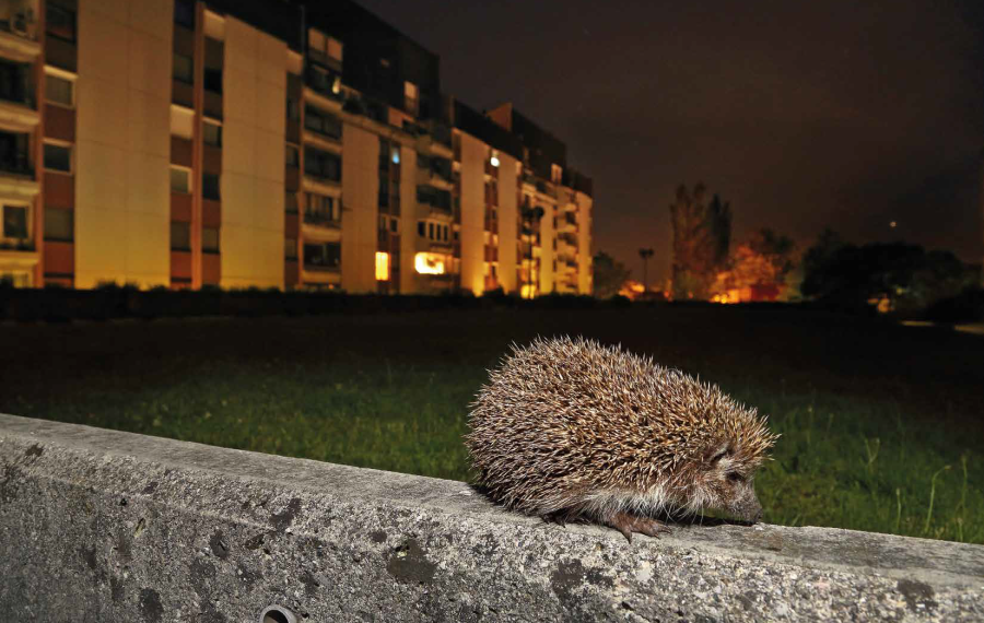 Jez nocna fotografija Davorin Tome