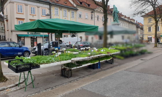 Kmetijstvo Snoj osrednja trznica
